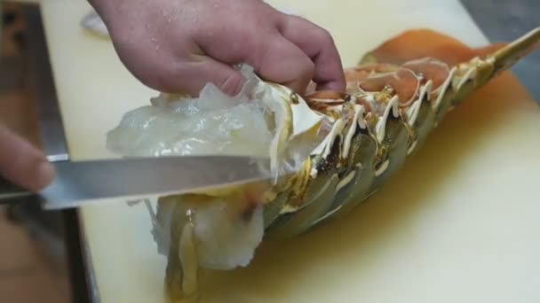 Lagostas espinhosas frescas. Cozinhar frutos do mar. Chef prepara uma lagosta. — Vídeo de Stock