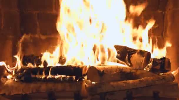 Verbrand hout. De aarde. Warmte en comfort thuis. Vlammen van een landhuis. — Stockvideo