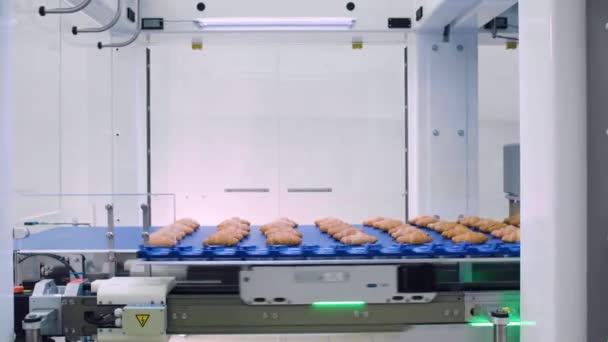 식품 공장. 자동화 라인. 로봇 생산 라인. — 비디오
