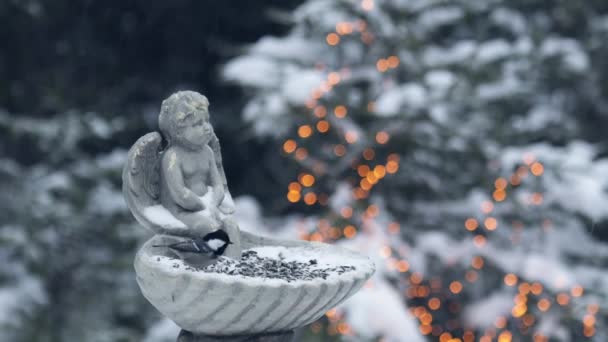 New Years and Christmas. Parus major. Bird tit in winter. A snowy forest in winter. — Stok video