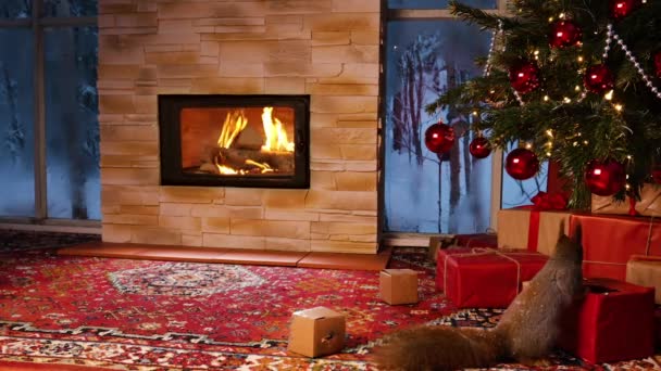 Tűz ég a kandallóban. Melegség és otthon kényelem. Ajándékok karácsonykor. Újévi belső tér. — Stock videók