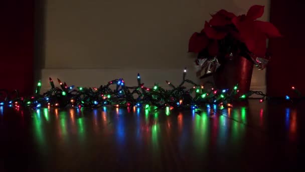 Garland lights. Christmas lights of the sparkle brightly. Colored bulbs. New Year. Christmas spirit, holidays. — Stock Video