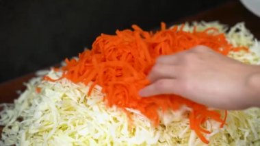 Sebze salatası. Dilimlenmiş beyaz lahana ve havuç. Lahana salatası. Harika gönderi. Hızlı borç ver. Sağlıklı organik gıda diyeti.