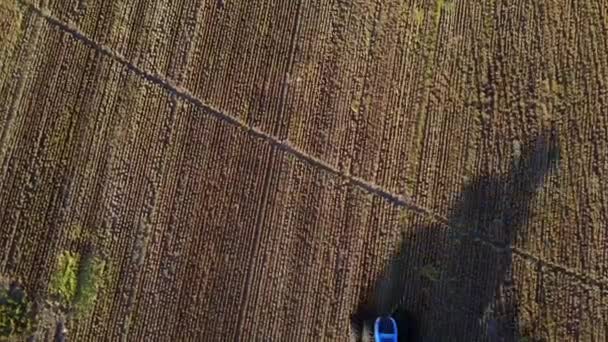 Agriculture. Food industry. Agricultural work. Farming tractor. Green field, agricultural works. Farm machinery. Aerial view. — Stock Video