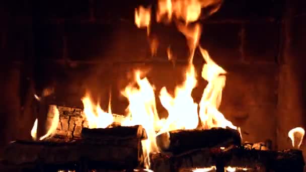 Het vuur brandt in de open haard. Vlammen van een landhuis. De aarde. Warmte en comfort thuis. Brandhout. — Stockvideo