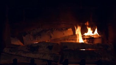 Şöminede ateş yanıyor. Yakacak odun. Sıcaklık ve ev konforu. Bir kır evinin alevleri. Toprak.