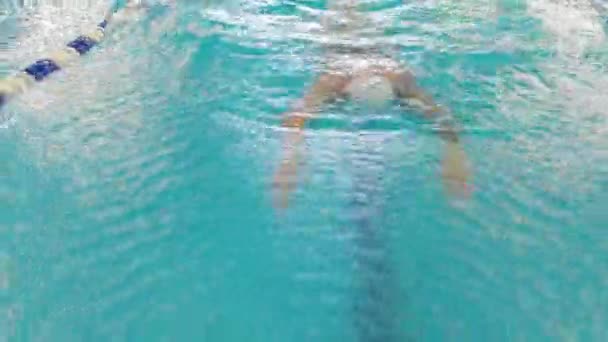 Professional athlete swimmer performing butterfly, front crawl technique. Sport and endurance. Goggles on swimming pool. Dive in water pool. Competition, fitness. — Stock Video