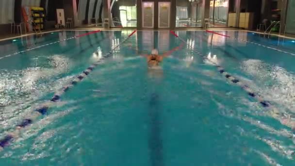 수영장에 다이빙하고. 경쟁, 체력. 프로 운동 선수였던 수영 선수였던 나비는 앞기어다니는 기술을 사용 했습니다. 수영장에서의 고글. 스포츠 와인내. — 비디오