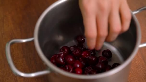 Mezclar las cerezas con azúcar para hornear. Hornear en casa. Cerezas frescas con azúcar. Cocinar mermelada de cereza. — Vídeo de stock