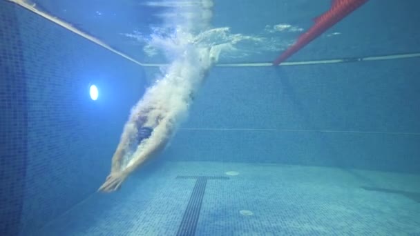 Nurkować w basenie wodnym. Profesjonalny pływak. Sport i wytrzymałość. — Wideo stockowe