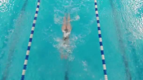 프로 육상 선수 수영 선수. 수영장에 다이빙하고. 스포츠 와인내. — 비디오