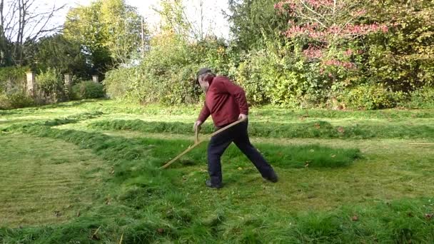 Tuinman maait het grasmaaier groen gras. Gereedschap voor tuinonderhoud. Proces van gazon trimmen met de handmaaier. Zomer. — Stockvideo