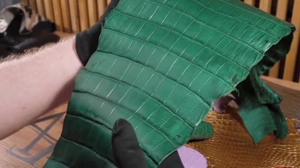 Exotic Leather. Animal Texture. Natural pattern. Fashion and clothing industry, shoes, bags, belts. Upholstery Furniture. Crocodile skin. — Stock Video