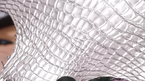 Exotic Leather. Fashion and clothing industry. Upholstery Furniture. Crocodile skin. Animal Texture. Natural pattern. — Vídeo de Stock