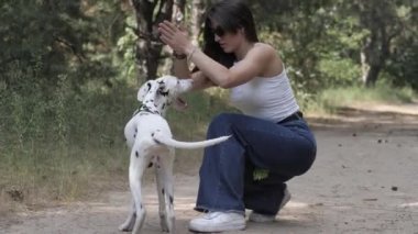 Dalmaçyalı. Köpekle oynuyordum. Yaşam tarzı ve evcil hayvan. Kız köpeklerini gezdiriyor. Köpeklerle neşeli bir yürüyüş. Köpekle yürü..