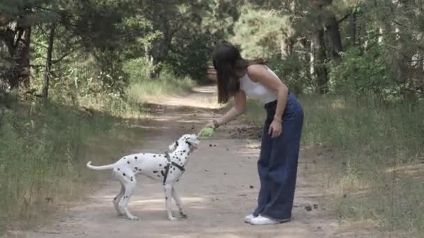 在遛狗的女孩和狗愉快地散步。和狗一起走达尔马提亚人和狗玩。生活方式和宠物. — 图库视频影像