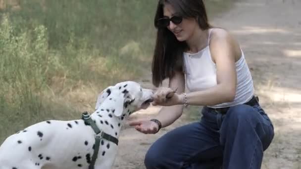 Bawię się z psem Dalmatyńczykiem. Dziewczyna wyprowadzająca psy. Wesoły spacer z psami. Idź z psem. Styl życia i zwierzę domowe. — Wideo stockowe