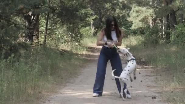 A Dog Dalmatian and Girl. . Playing with a dog, Cheerful walk with pet. Walk with the dog. Best Friend. — Stock Video