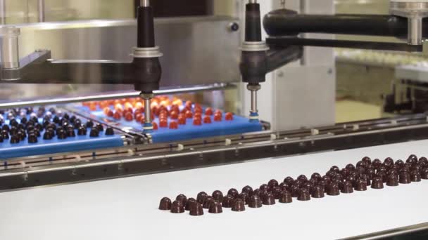 Ligne de cueillette pour ours en chocolat, biscuits, bonbons — Video