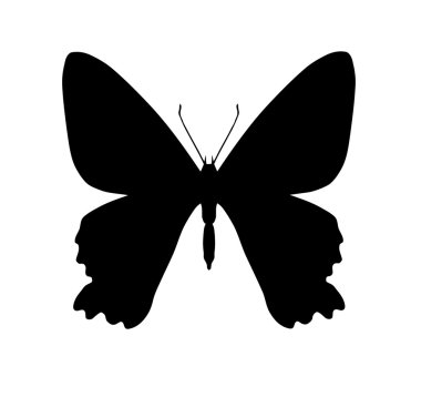 Beyaz izole kelebek silüeti