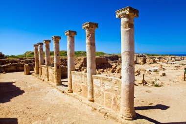 Paphos Archaeological Park antik sütunlar ile