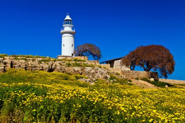 Paphos, Kıbrıs için antik amfitiyatro