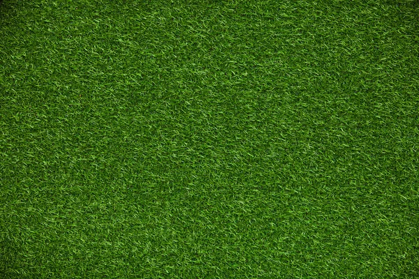 Green grass lawn — Stock Photo, Image