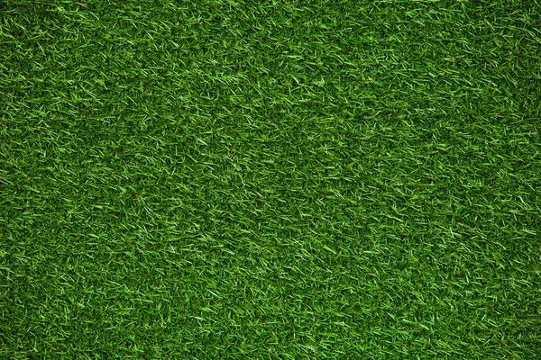 Green grass lawn — Stock Photo, Image