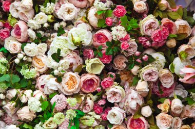 Kırmızı ve beyaz renkli çiçekler