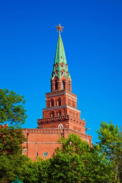 Widok wieża Kremla — Zdjęcie stockowe