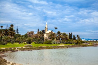 Hala Sultan Tekke veya cami um Haram