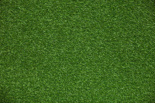 Pelouse d'herbe verte — Photo