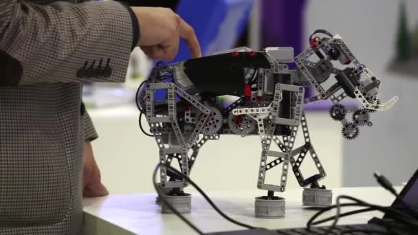 Robot juguete elefante hecho a mano — Vídeos de Stock