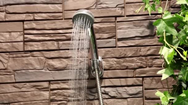 Showerhead water flowing — Stock Video