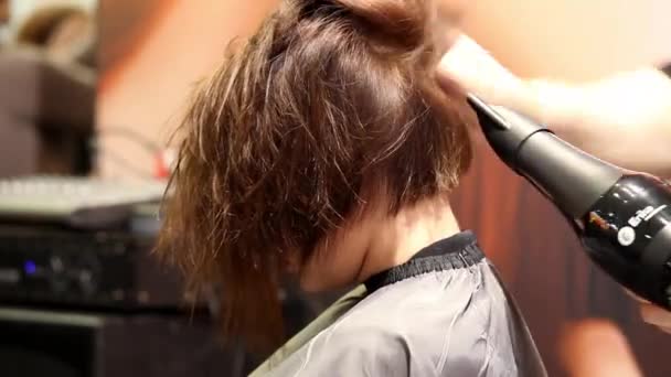 Hair cutting by professional stylist in beauty salon — Stock Video