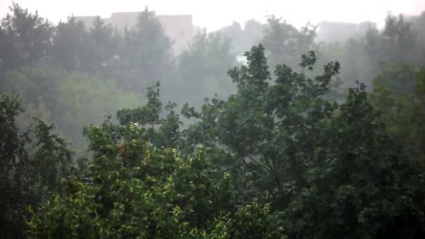 Tempesta di pioggia in città — Video Stock