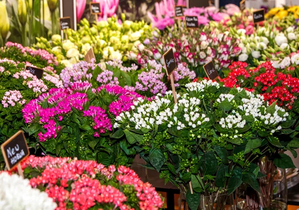 Straat bloemenmarkt — Stockfoto