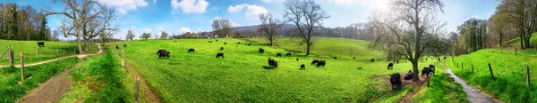 Idyllic rural landscape panorama — Stock Photo, Image