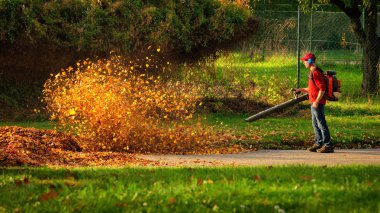 Heavy duty leaf blower in action clipart