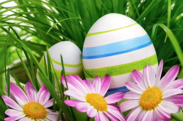 Huevos de Pascua, flores y hierba — Foto de Stock