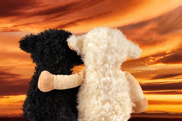 Dos lindos peluches disfrutan de la puesta de sol — Foto de Stock