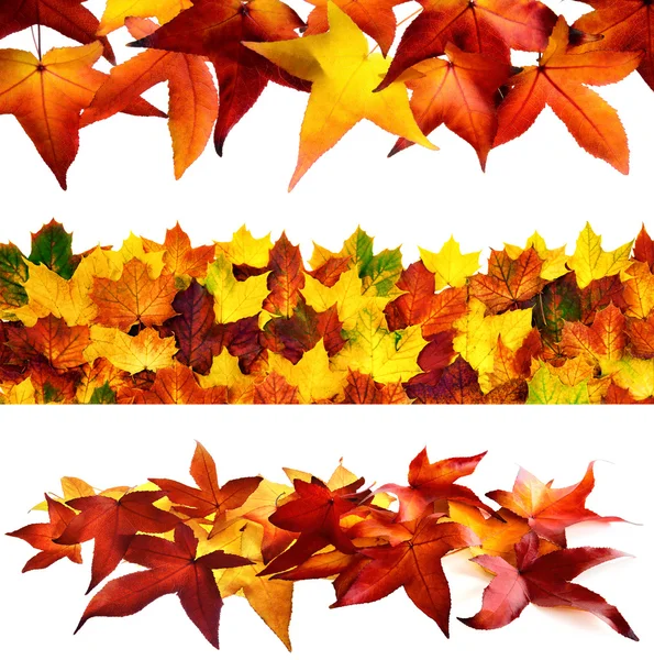 Set of 3 autumnal borders — Stock Photo, Image