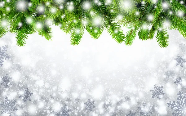 Fir twigs and snow background — Stock Photo, Image