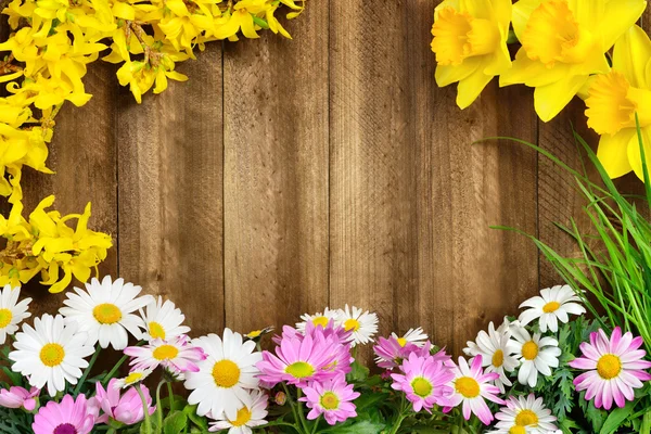 Spring flowers framing wooden board — Stock Photo, Image