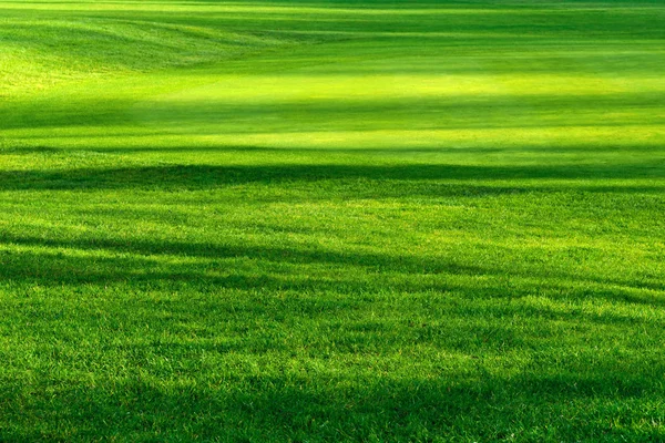 Luz y sombras en un hermoso césped — Foto de Stock