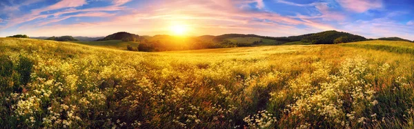 Panorama de un colorido atardecer en un hermoso prado —  Fotos de Stock