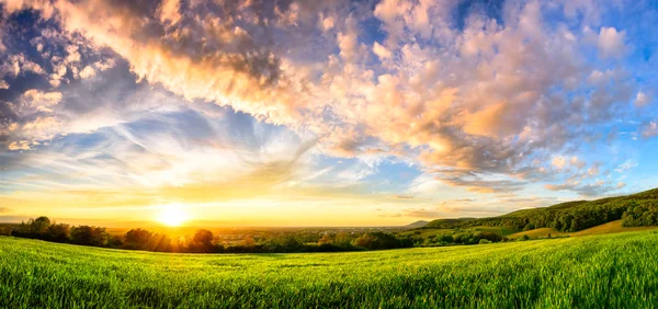Panorama de um pôr-do-sol colorido em um prado verde — Fotografia de Stock