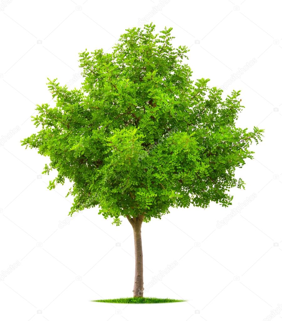 Metaphor for Practical Theology