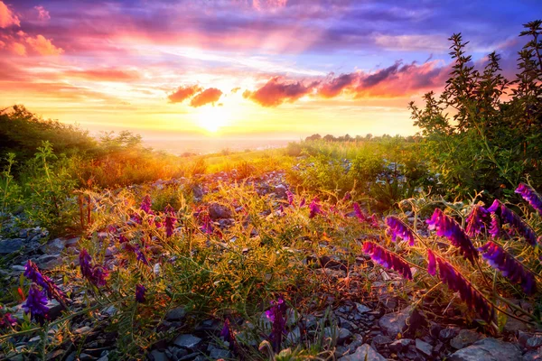 Colourful sunset landscape — Stock fotografie