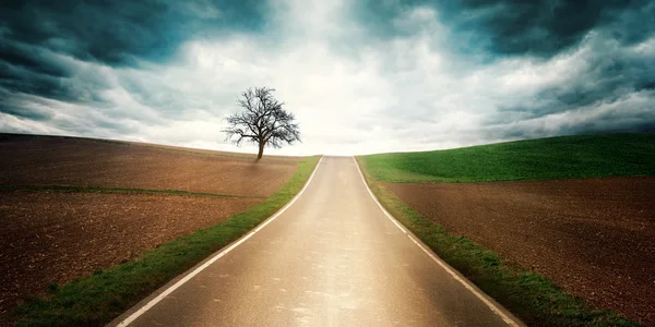 Country road with dramatic mood — Stock Photo, Image